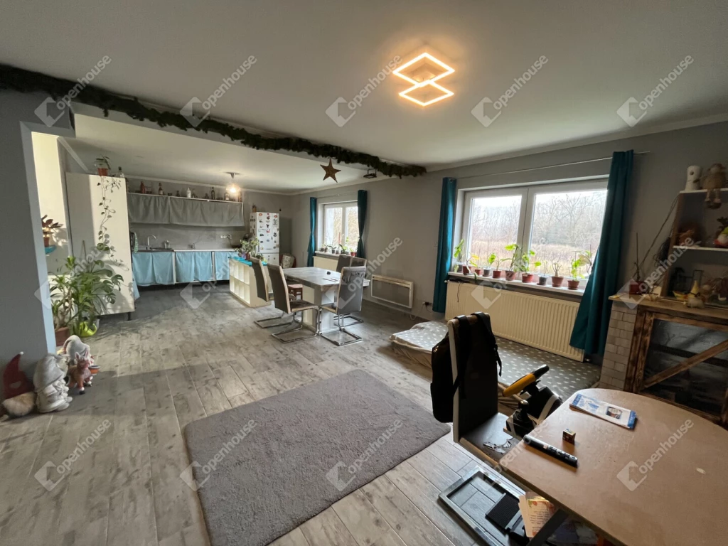 For sale house, Monor