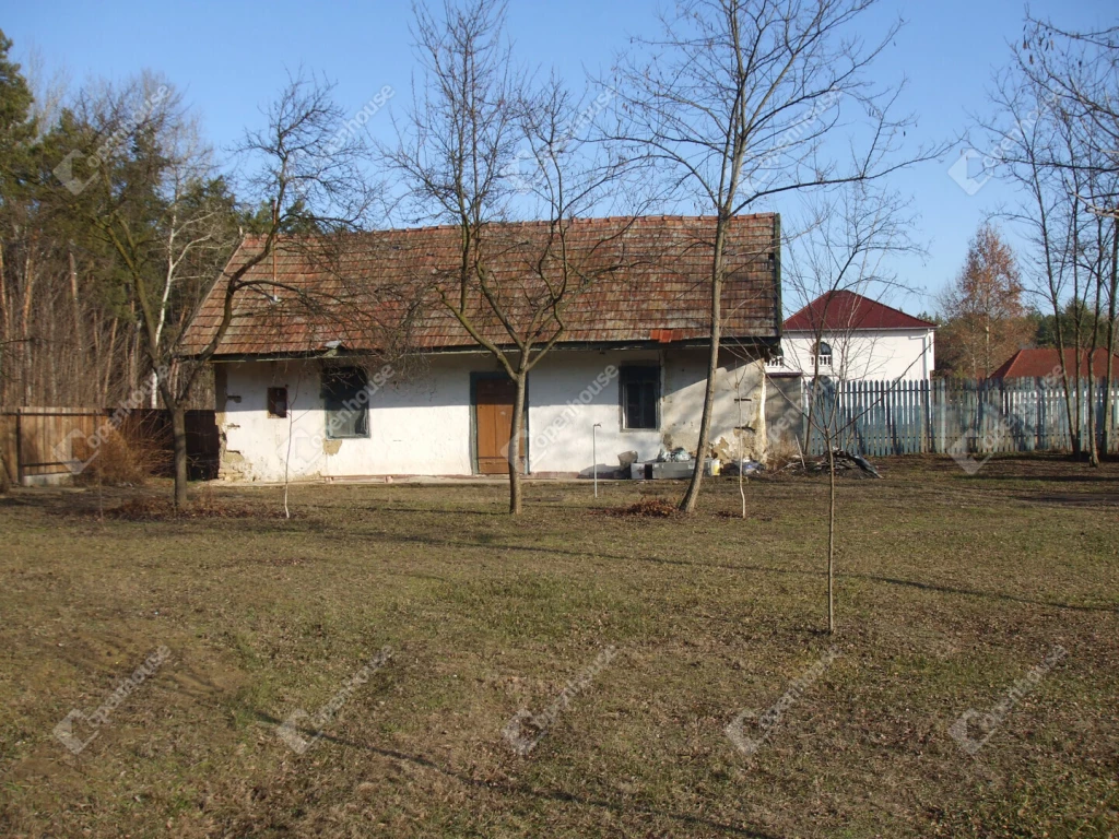 Eladó tanya festői környezetben, Vasad külterületén!