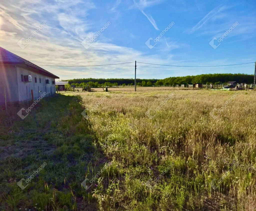 Csévharaszti telek kiváló adottságokkal