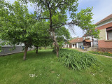 Szentpéterfa