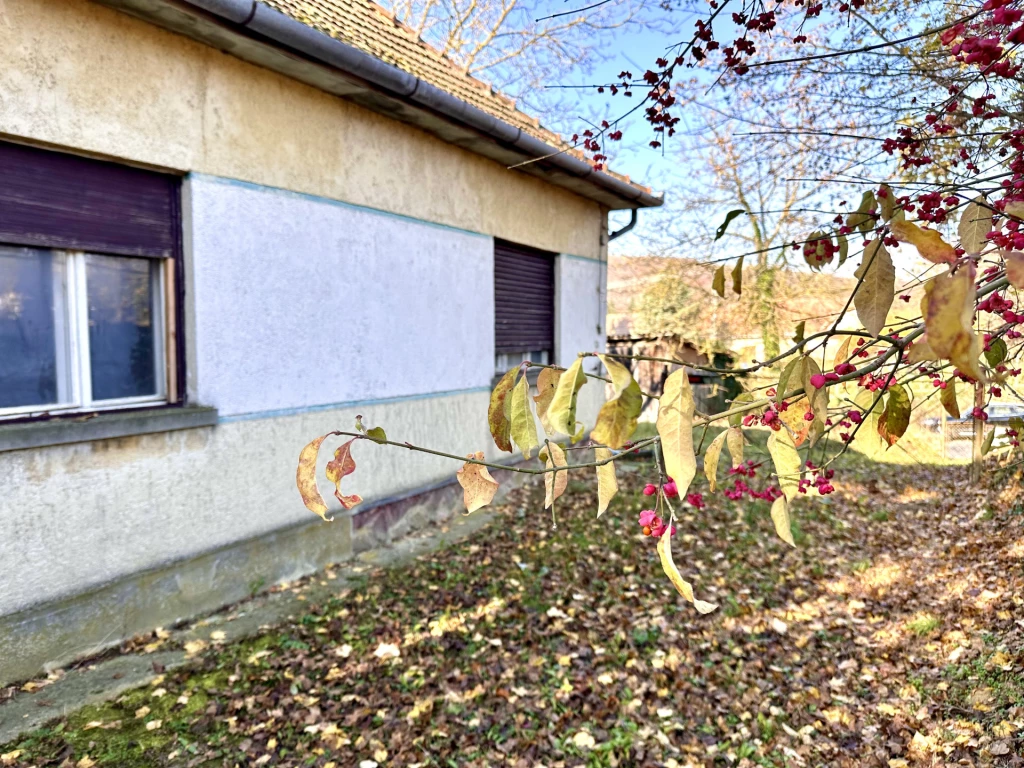 For sale house, Nemeshetés