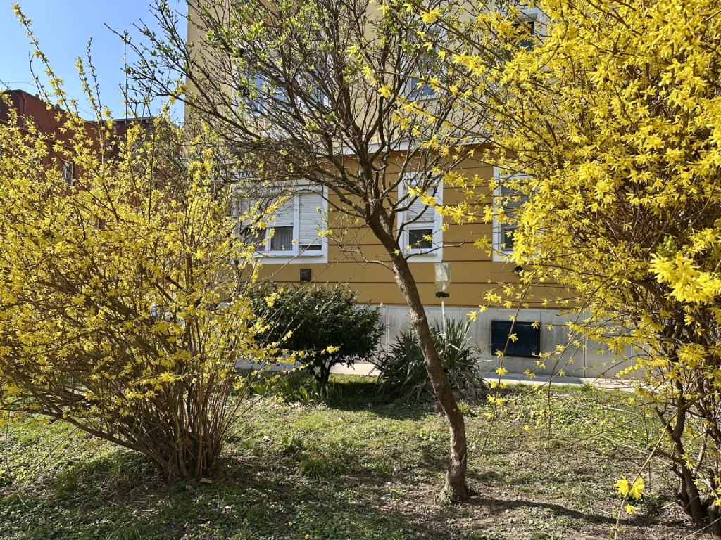 c3-1-name c2-19-name, Zalaegerszeg, Belváros