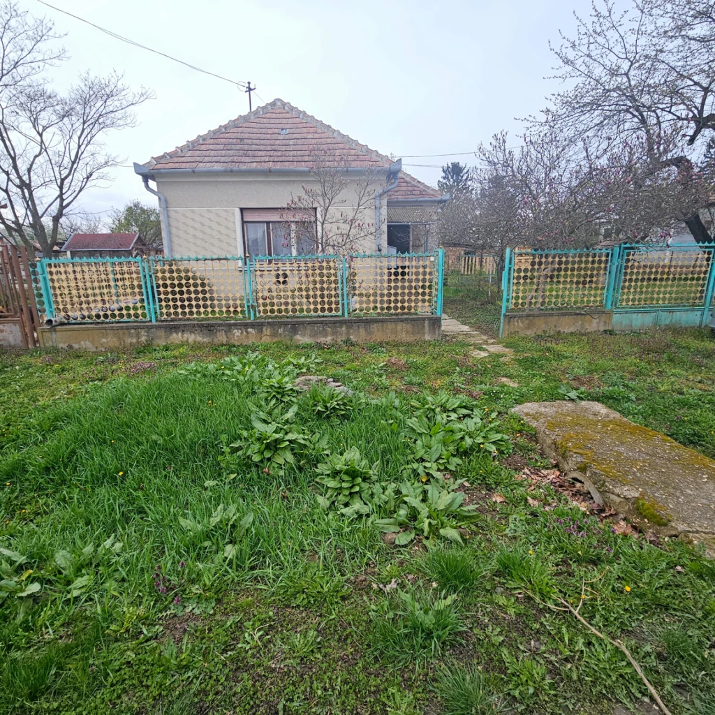 c3-1-name c2-1-name, Türje