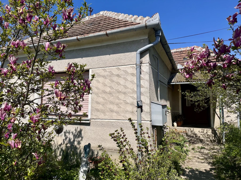 Eladó felújítandó családi ház Türjén