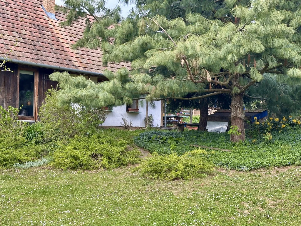 c3-1-name c2-1-name, Zalacsány, Örvényeshegy