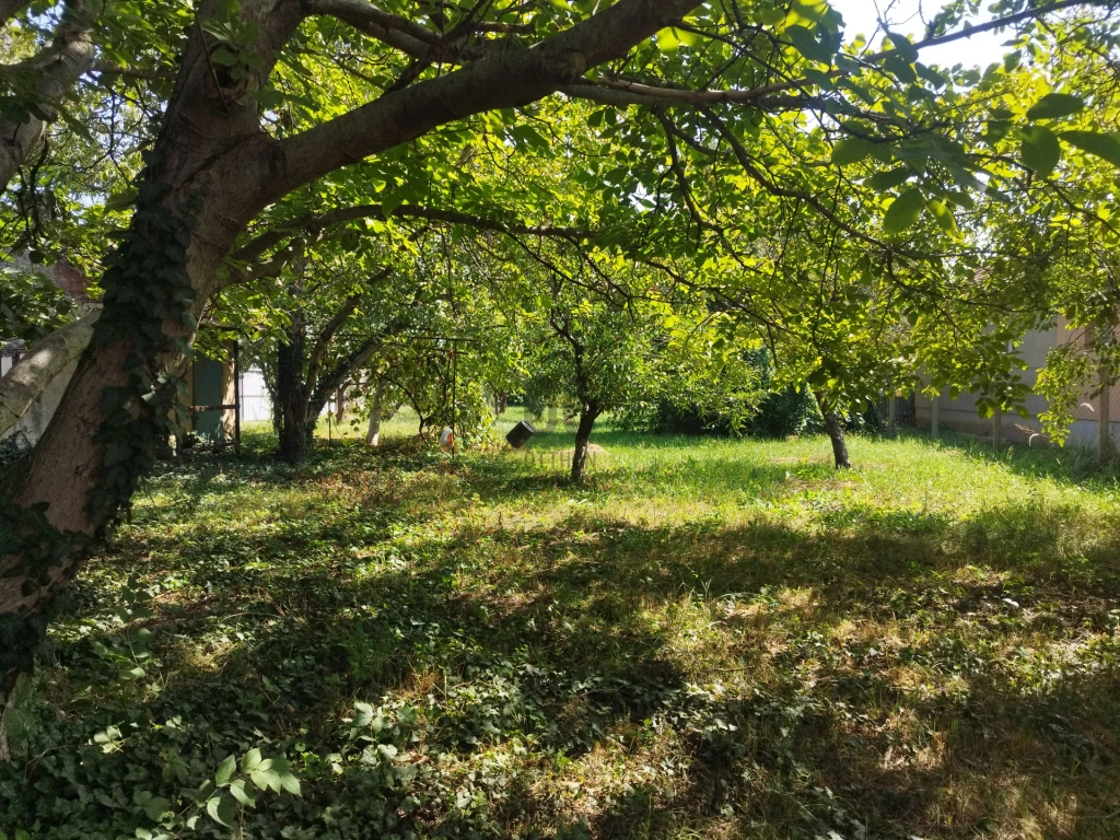 For sale building plot, Vecsés, Halmy-telep, Móricz Zsigmond utca