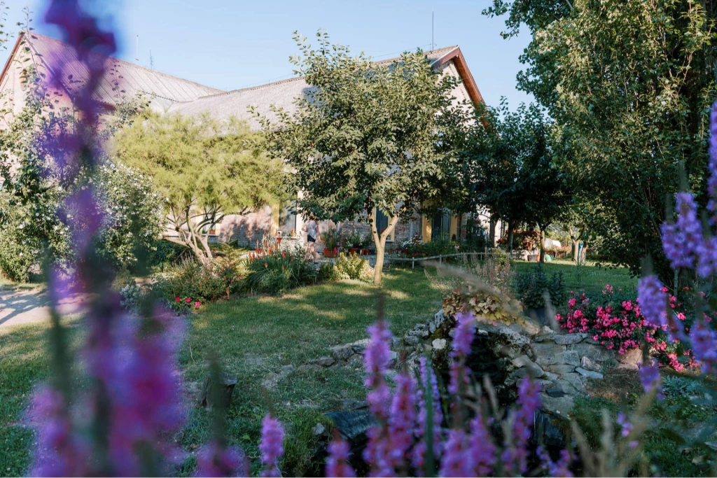 For sale grange, Naszály