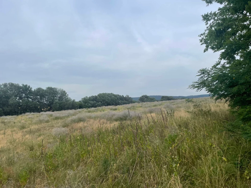 For sale lot, acreage, Szomód