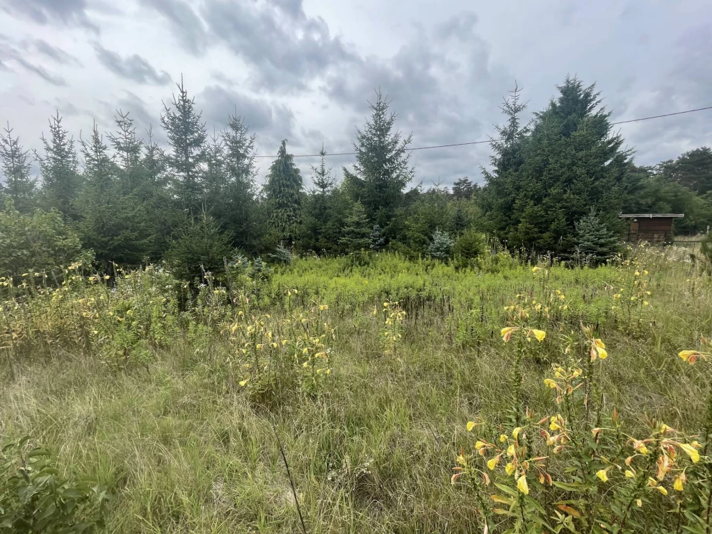 For sale closed garden, Szomód