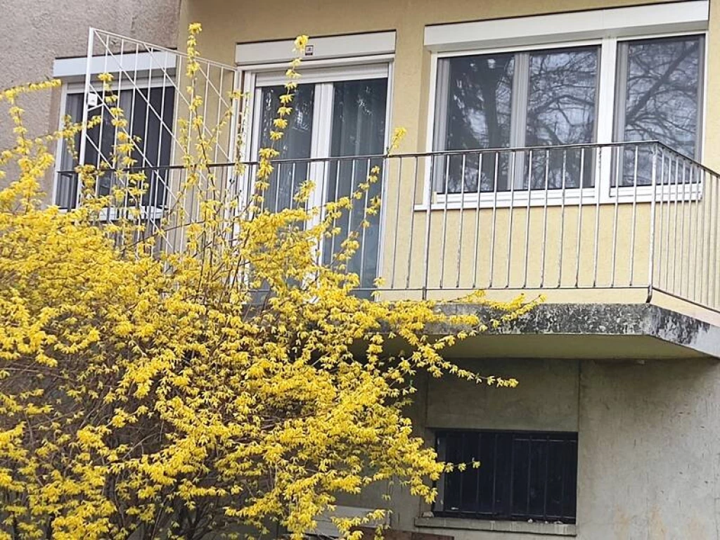 Nyugalom, kényelem és stílus Mártonhegy szívében