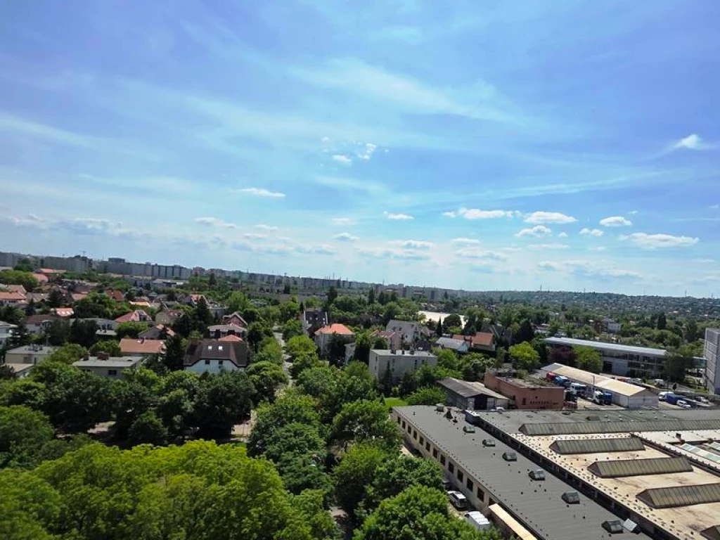 FESTVE LESZ MÉG MINDENHOL! Lakáskeresés helyett inkább egy KALANDRA vágysz? Akkor ezt MOST olvasd el!