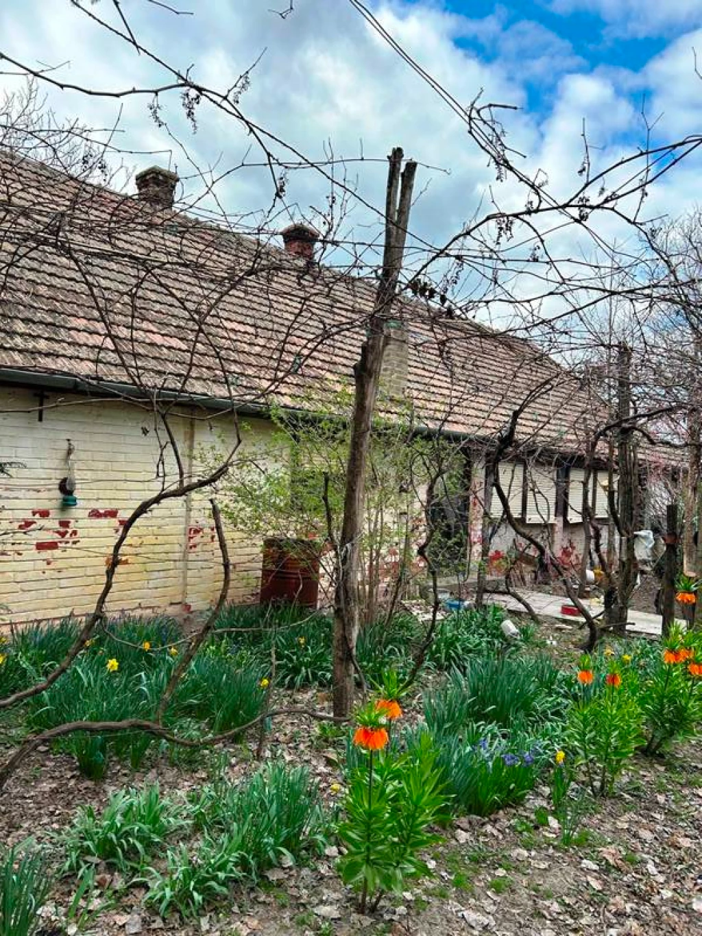 TANYASI ÁLOM ÜLLÉSEN – TERMÉSZETKÖZELI ÉLETRE VÁGYÓKNAK!