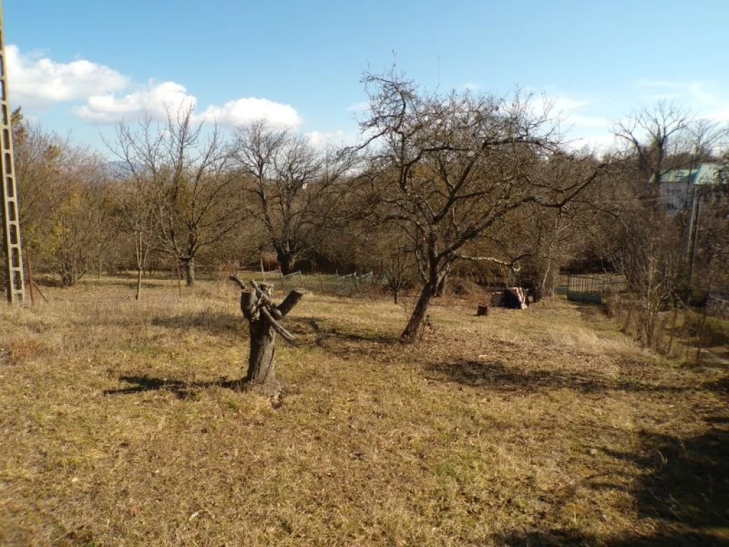 For sale periphery plot, Dunabogdány