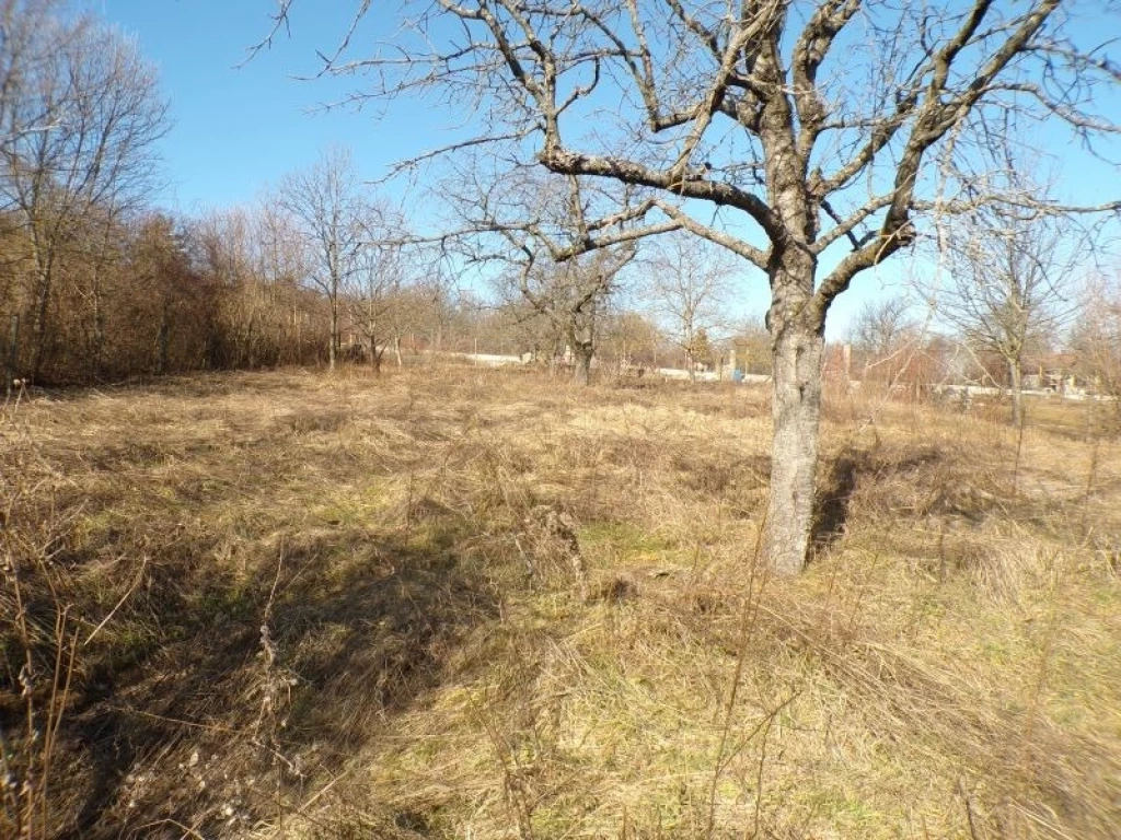 For sale other plot, Dunabogdány