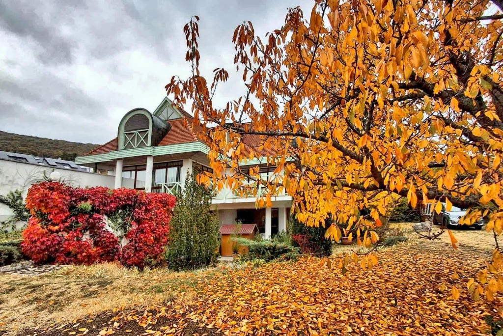 For sale house, Pécs, Mecsekoldal-Belváros, Sziklás dűlő