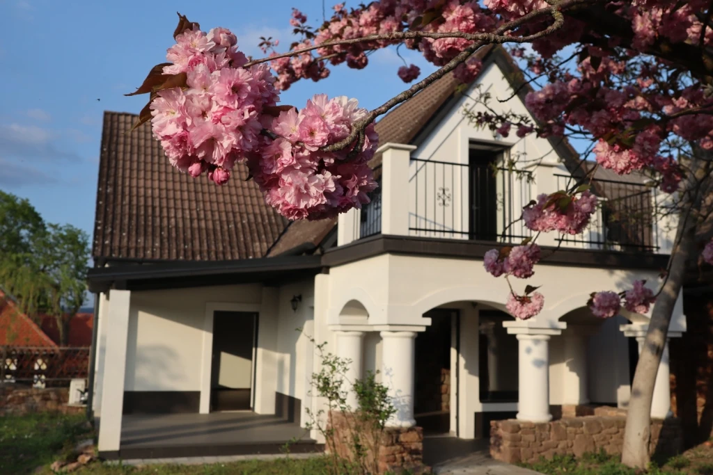 c3-1-name c2-1-name, Kővágóörs