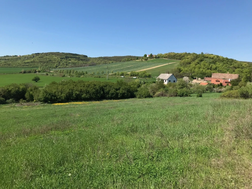 Eladó Mezőgazdasági, Pécsely külterület 12.900.000 Ft