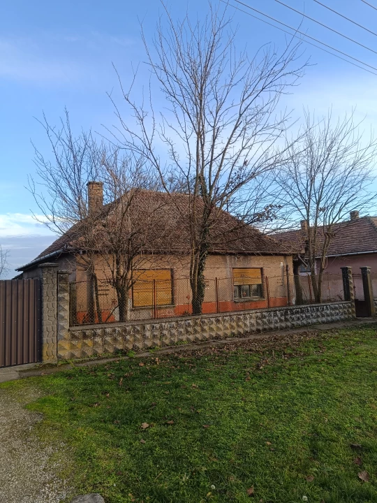 For sale house, Harta, Nagykékes puszta 33