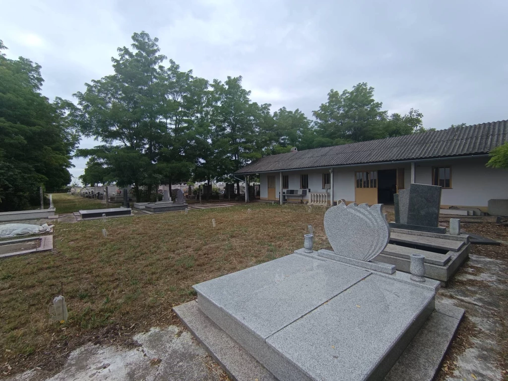 c3-1-name c2-1-name, Pálmonostora