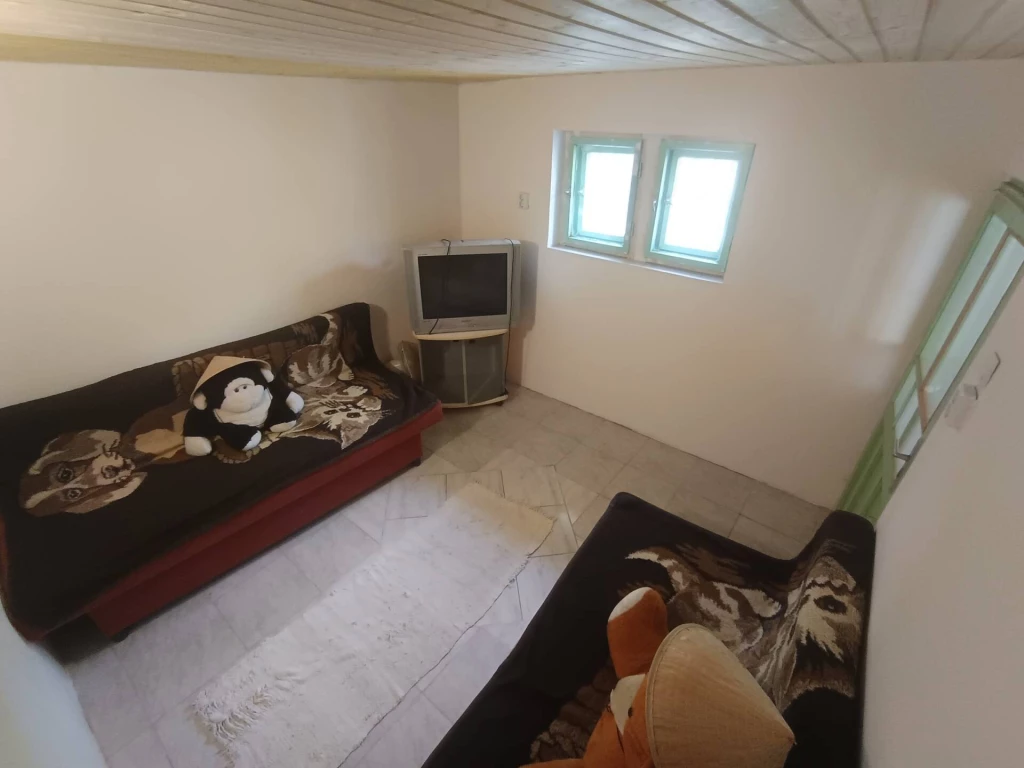 c3-1-name c2-1-name, Pálmonostora