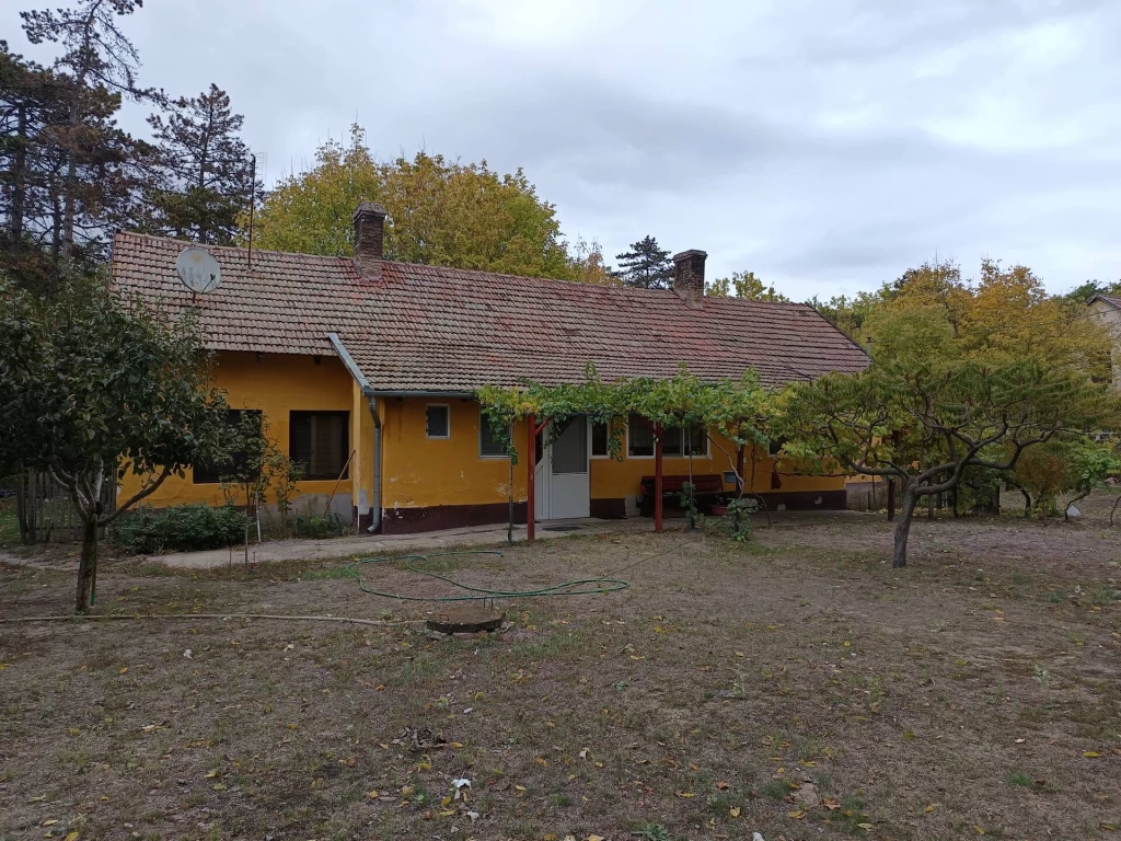 For sale house, Bugac