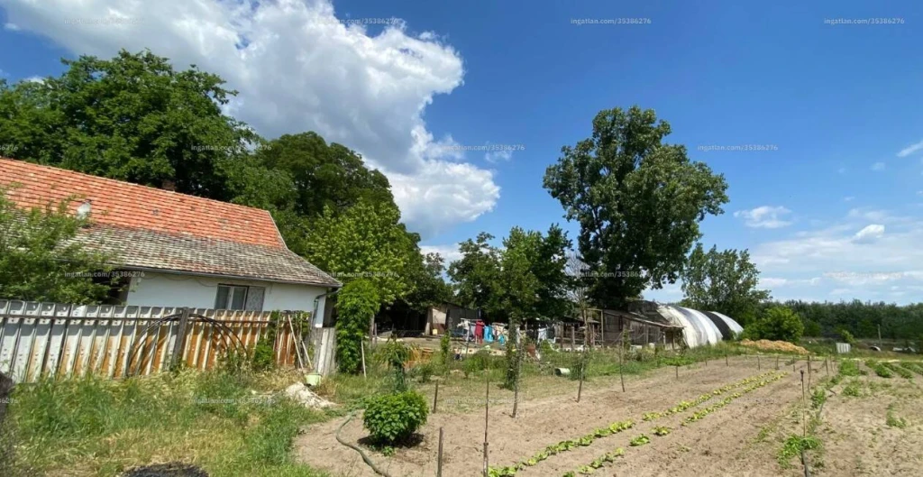 Eladó családi ház, Bugacpusztaháza