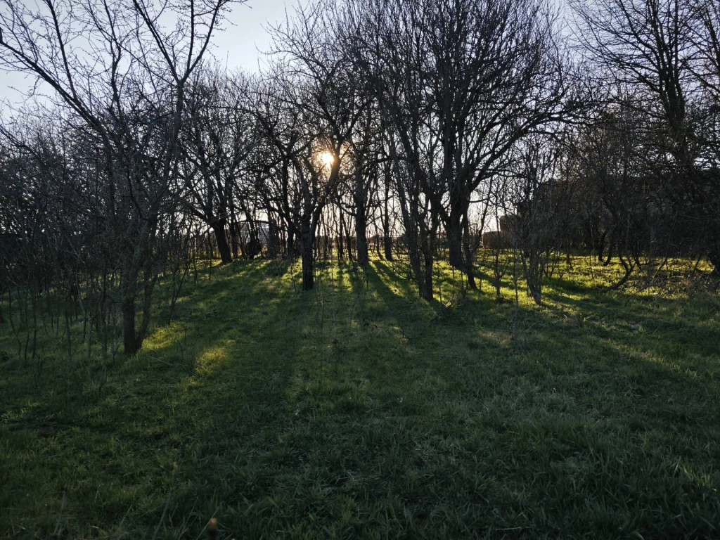 Eladó tanya Polgáron, ideális választás a vidéki élethez!