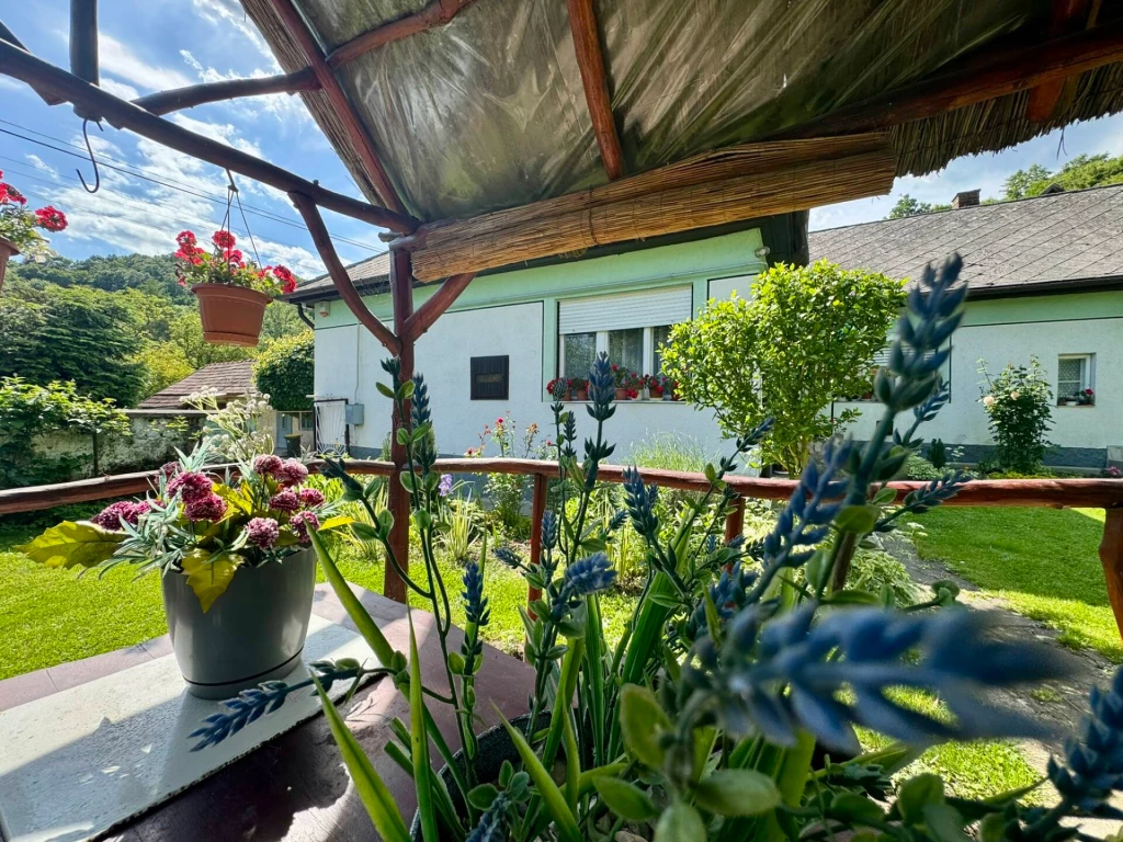 Eladó családi ház, Sály