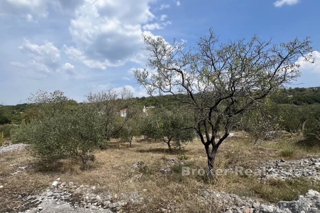 Spacious building plot in a quiet part of town with the possibility of installment payments