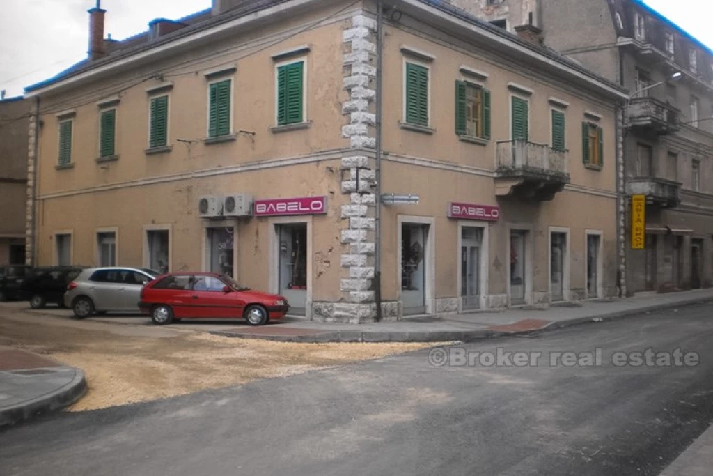 Large house on 500 m2, for sale