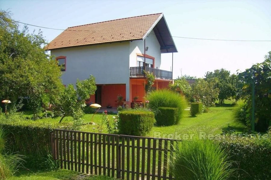 House with large land plot