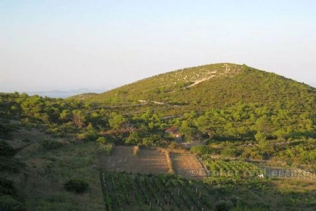 Agricultural land, for sale