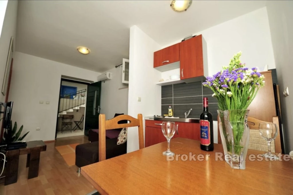 Two apartments with a well-established business