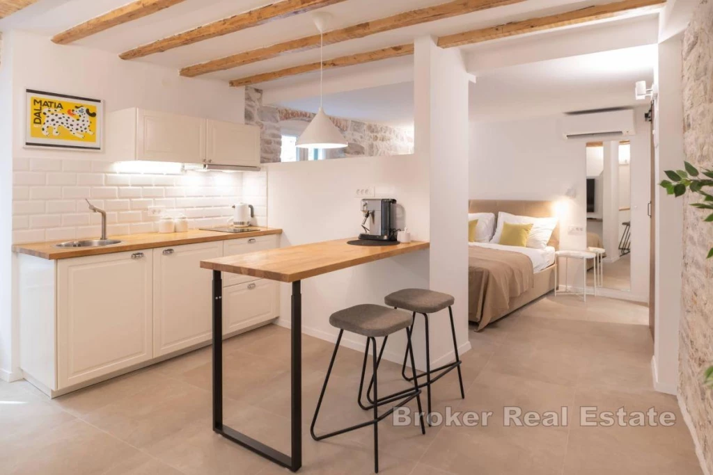 Modern apartments in the city center