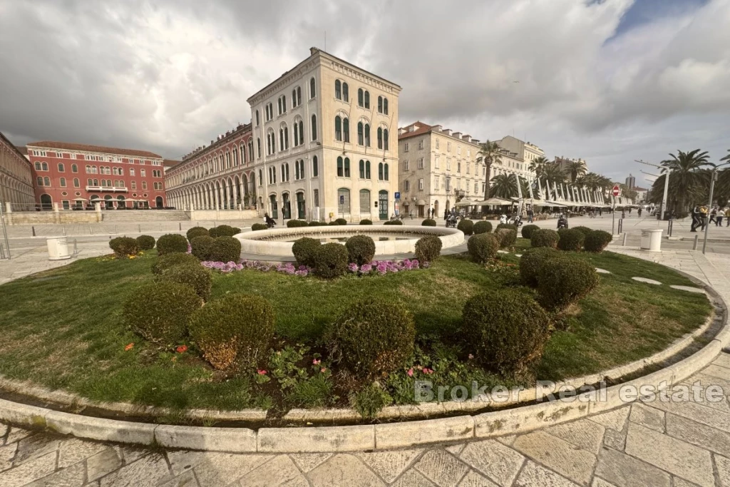Unique apartments in the city center