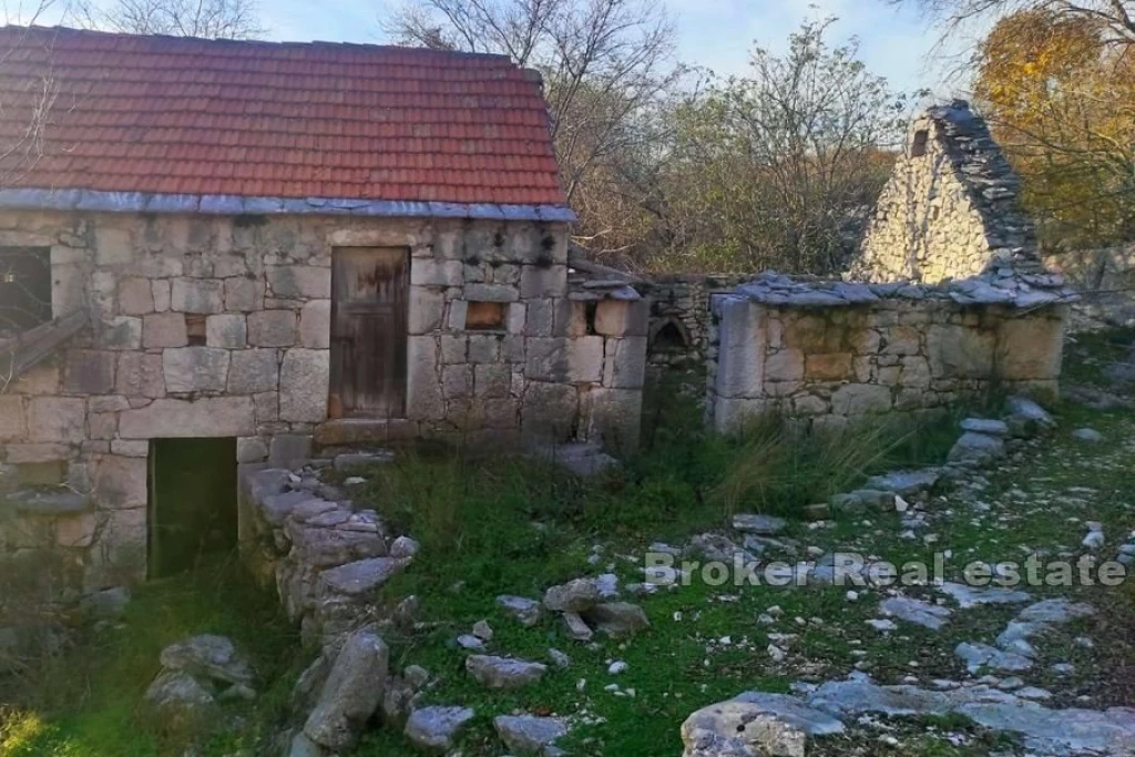 Complex with Dalmatian houses