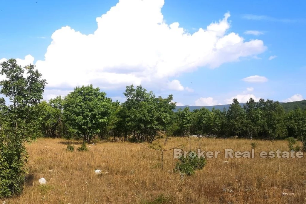 Agricultural land