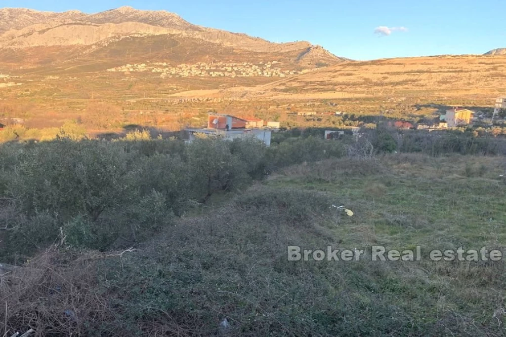 Building land