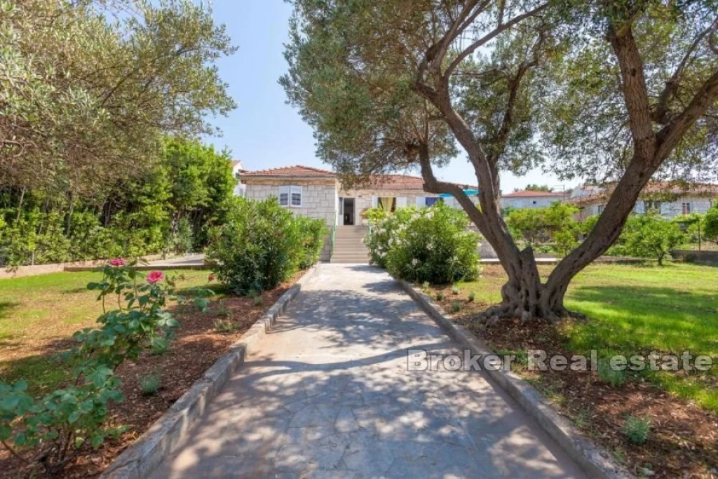A house with a beautiful garden