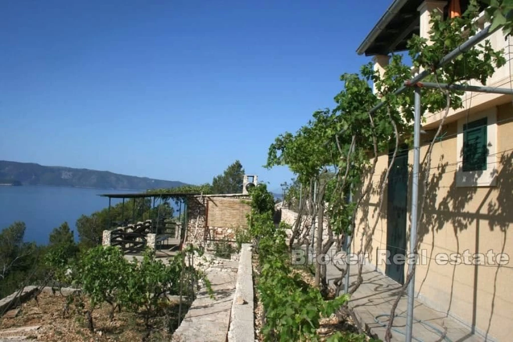 House with a spacious garden near the sea