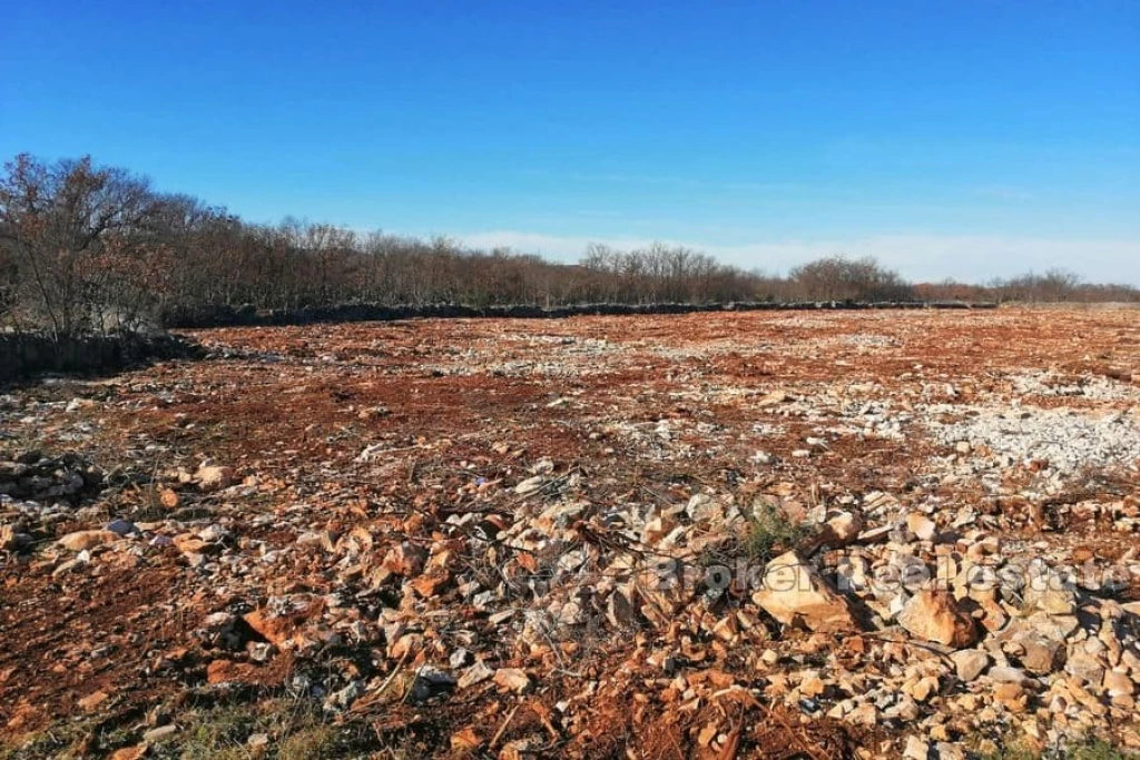 Building land in hinterland