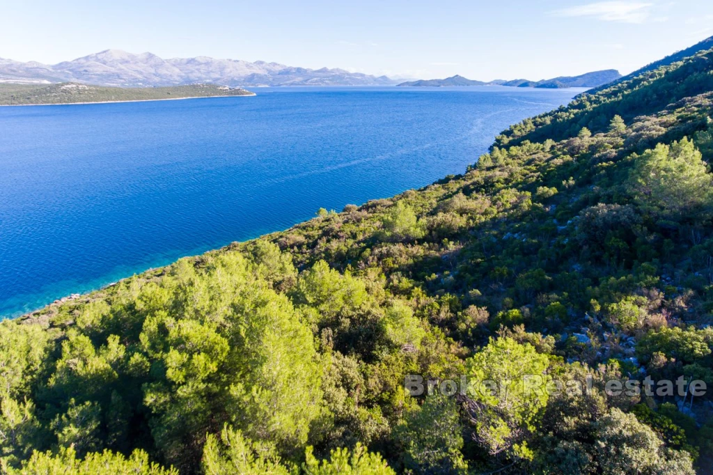 Building land by the sea, for sale.