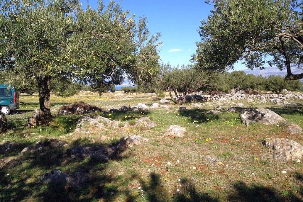 Agricultural land, for sale