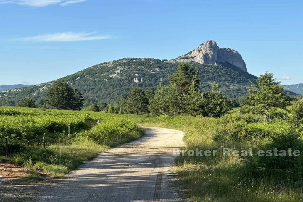 Unique building land in a quiet location
