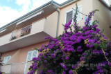 c3-1-name c2-4-name, Makarska