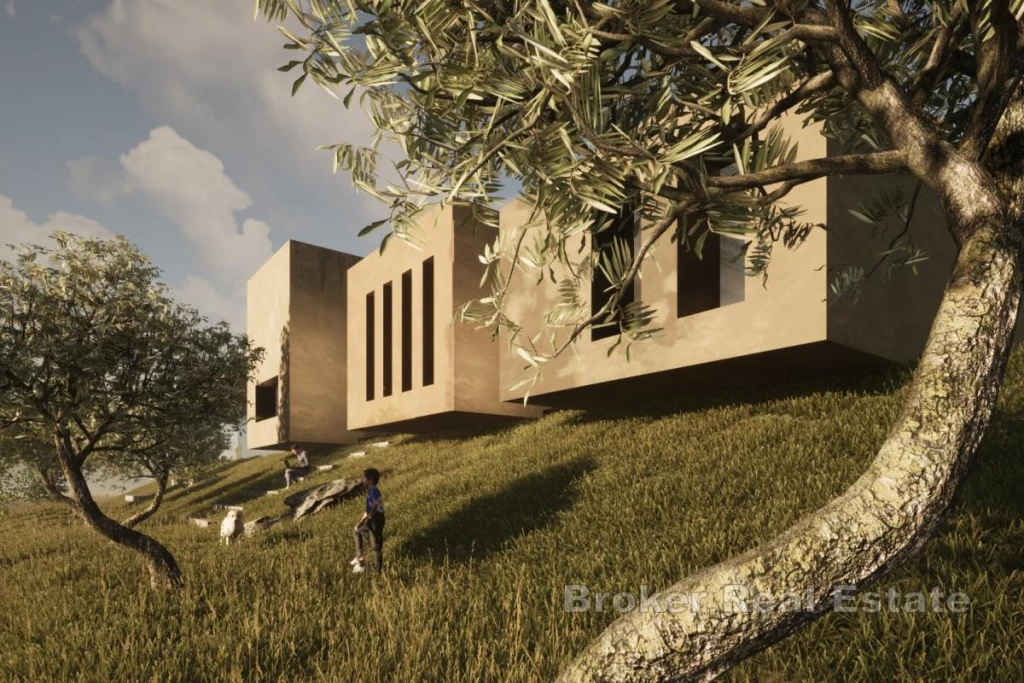 Modern villa with swimming pool and spacious garden