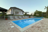 Modern house with swimming pool