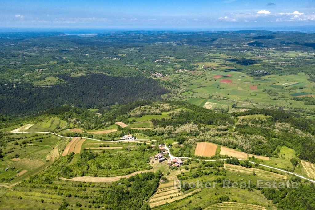 c3-1-name c2-4-name, Pazin