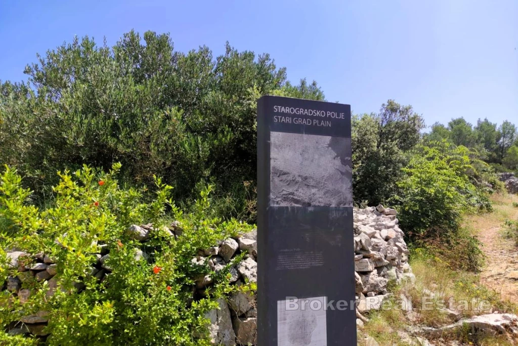 c3-1-name c2-50-name, Hvar