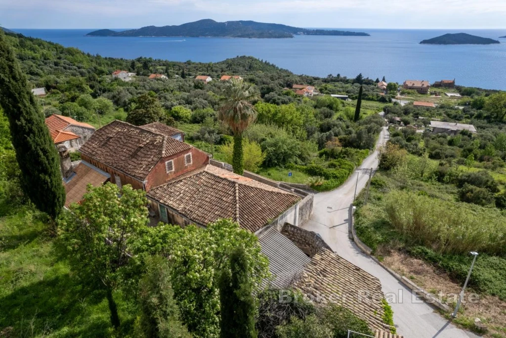 Historic Villa with Sea View